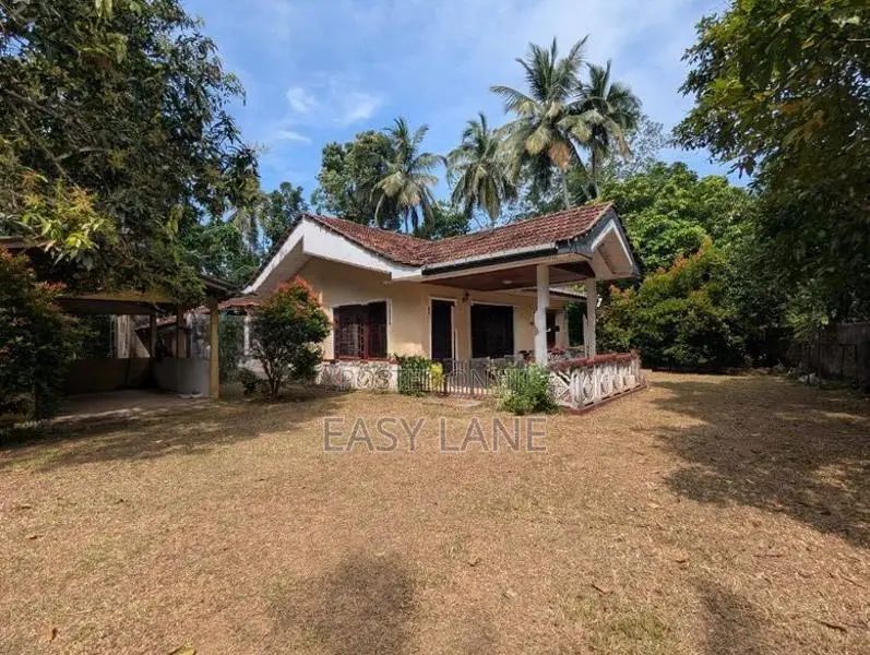 ආදායම් ලබන පොල් ඉඩමක් සමග අංග සම්පූර්ණ නිවසක්
