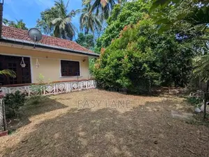ආදායම් ලබන පොල් ඉඩමක් සමග අංග සම්පූර්ණ නිවසක්