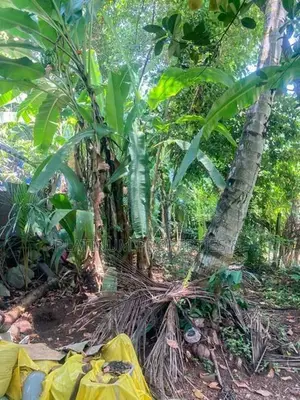 20 Perch High Level Road Facing Commercial Land For Sale Maharagama