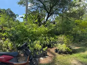 Near Katubedda University Land for Sale Moratuwa