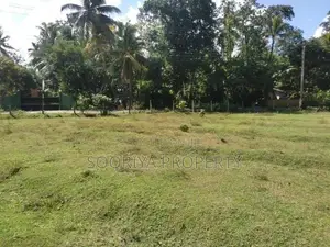 153 Perches Land for Sale in Millaniya Bandaragama