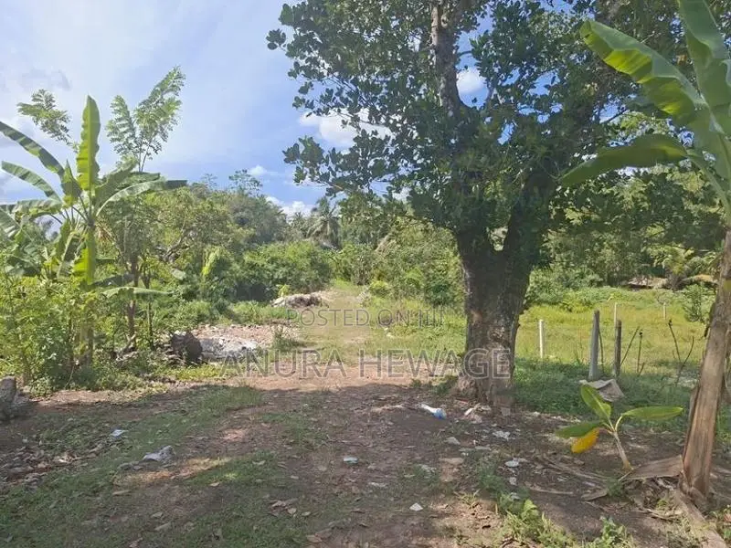 නවගමුව, අතුරුගිරිය පාරේ පිහිටි ඉඩමක් විකිණීමට ඇත. (ID : NWGA002S)