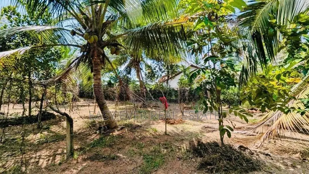 Land for Sale in Hanwella