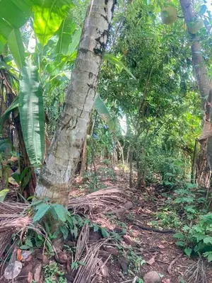 20 Perch High Level Road Facing Commercial Land For Sale Maharagama