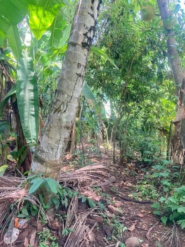 20 Perch High Level Road Facing Commercial Land For Sale Maharagama