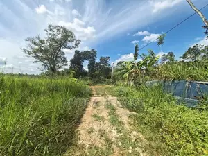නවගමුව, අතුරුගිරිය පාරේ පිහිටි ඉඩමක් විකිණීමට ඇත. (ID : NWGA002S)