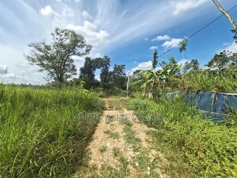 නවගමුව, අතුරුගිරිය පාරේ පිහිටි ඉඩමක් විකිණීමට ඇත. (ID : NWGA002S)