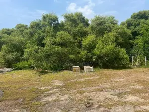 Negombo Lagoon Front Facing 82 Perch Land for Sale