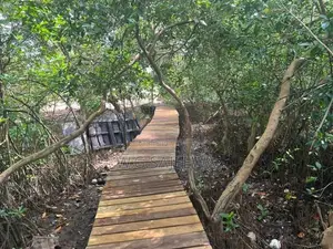 Negombo Lagoon Front Facing 82 Perch Land for Sale