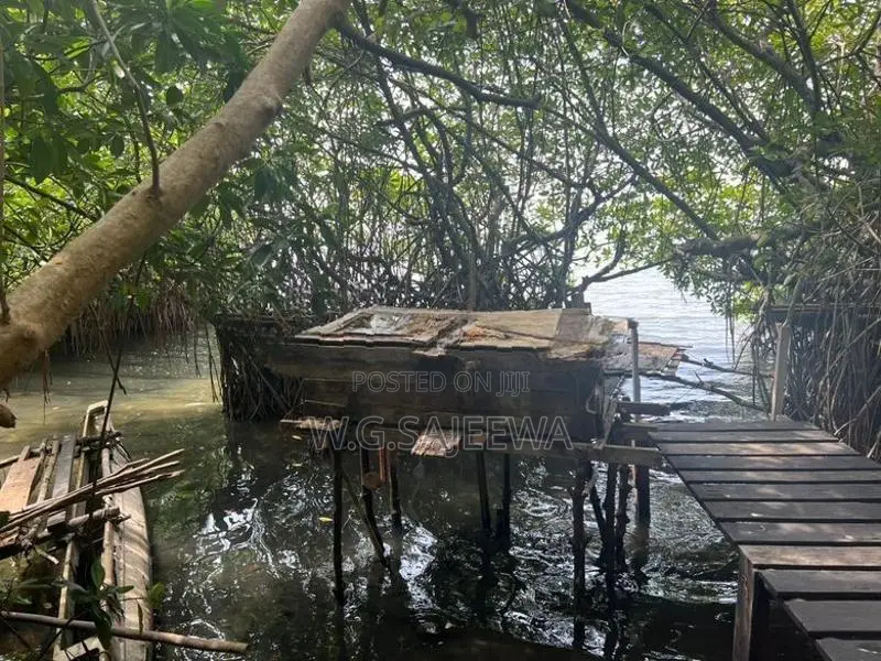 Negombo Lagoon Front Facing 82 Perch Land for Sale