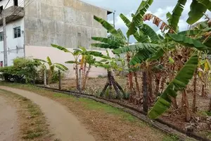 Land for Sale (blf29) Ratmalana