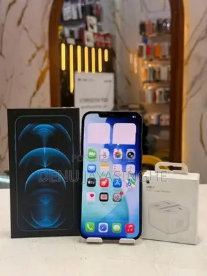 Apple iPhone 12 Pro Max 5G 256GB (Used)