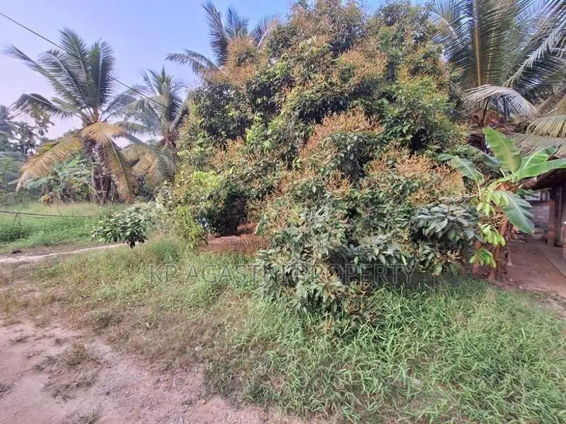 ඉඩමක් විකිනිමට මිගොඩ වටරෙක පර් 10