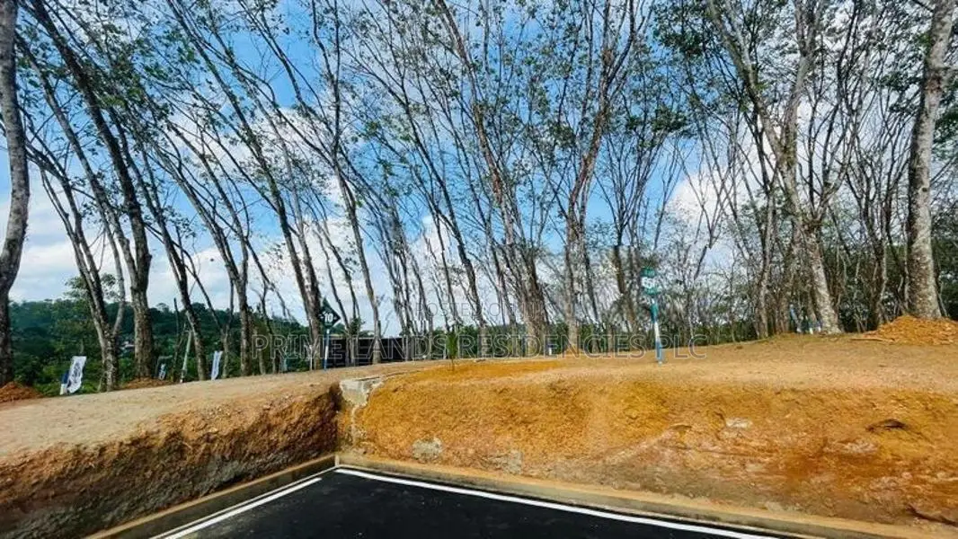 Valuable Land for sale in Homagama Berukatiya