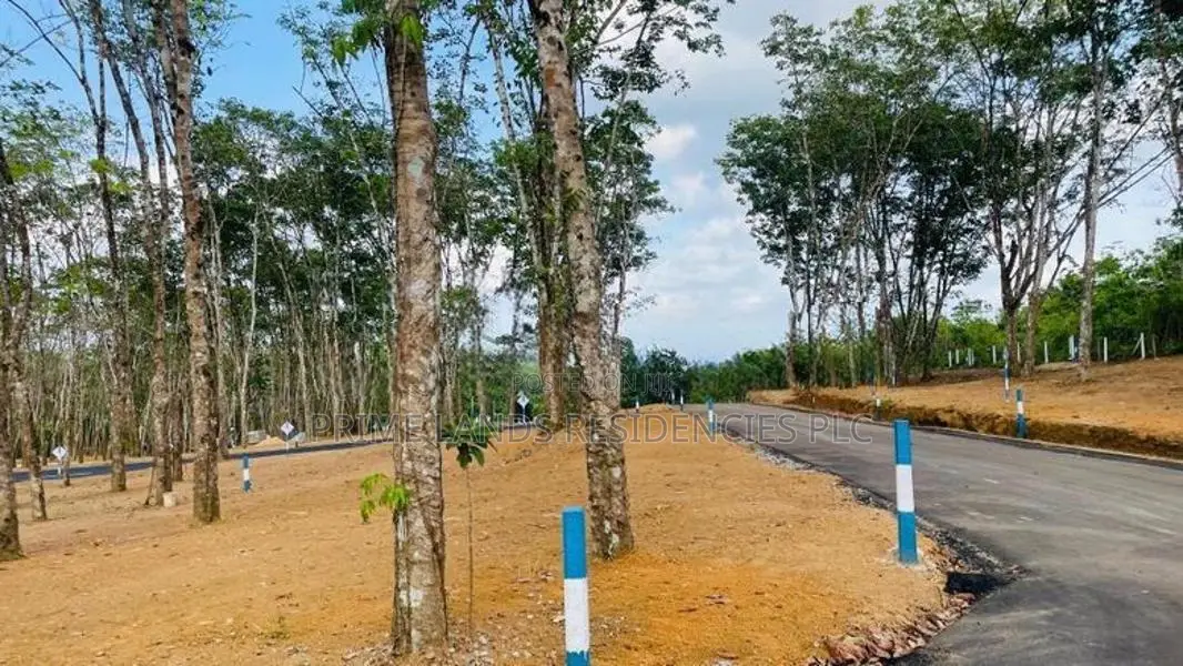 Valuable Land for sale in Homagama Berukatiya