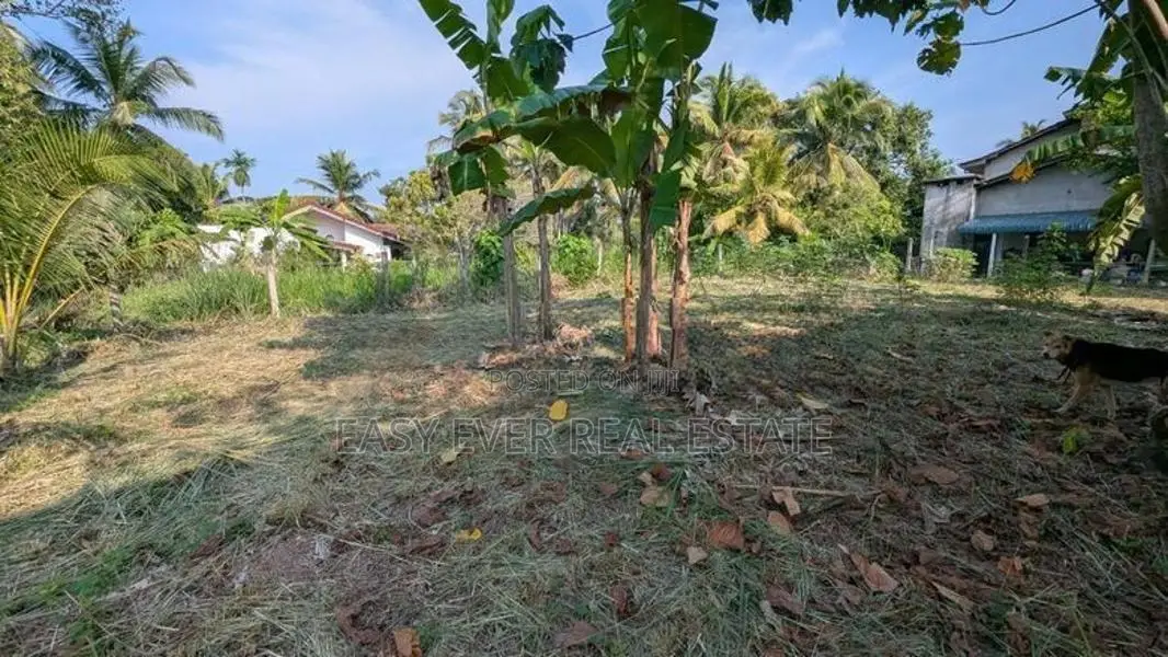 Land for Sale in Mottunna