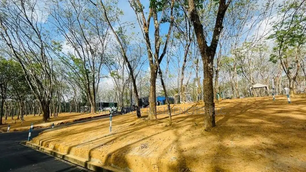 Valuable Land for sale in Homagama Berukatiya