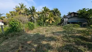 Land for Sale in Mottunna