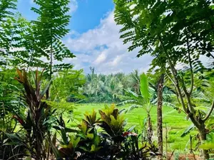 Land for sale in urapola