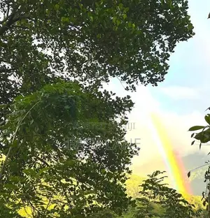 Kandy Land for Sale