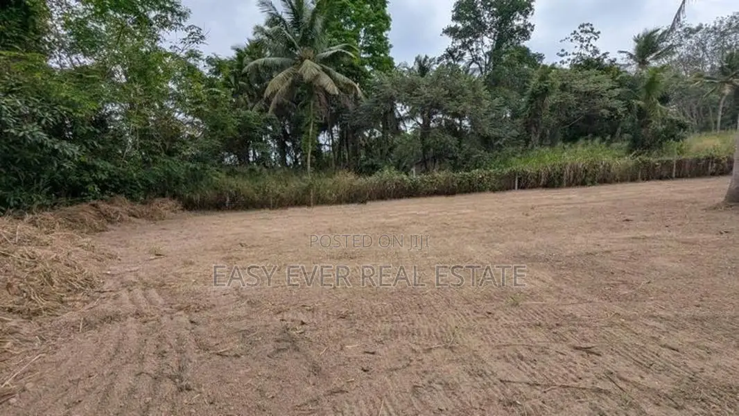 Udugampola සුපිරි වෙල් යායට මුහුණලා ඇති වටිනා ඉඩමක් විකිණීමට
