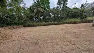 Udugampola සුපිරි වෙල් යායට මුහුණලා ඇති වටිනා ඉඩමක් විකිණීමට