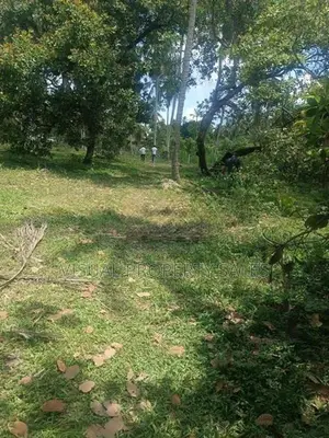 Land for Sale kandy