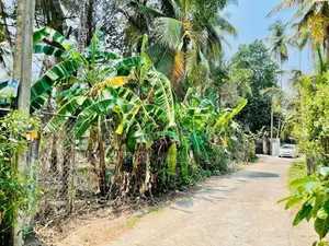 Land for sale in gampaha