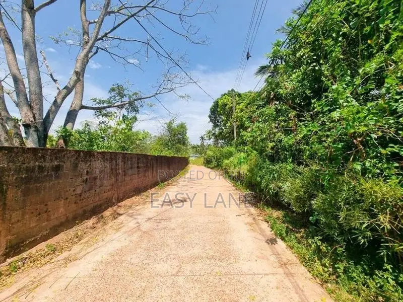 Land for Sale in Veyangoda