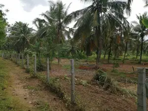Farming Land Sale in Godigamuwa