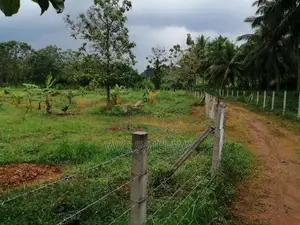 Farming Land Sale in Godigamuwa