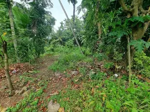 වේයන්ගොඩ අධිවේගී පිවිසුමට විනාඩි 10 කොට්ටල පාරෙන් වටිනා ඉඩමක්