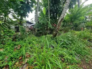 වේයන්ගොඩ අධිවේගී පිවිසුමට විනාඩි 10 කොට්ටල පාරෙන් වටිනා ඉඩමක්