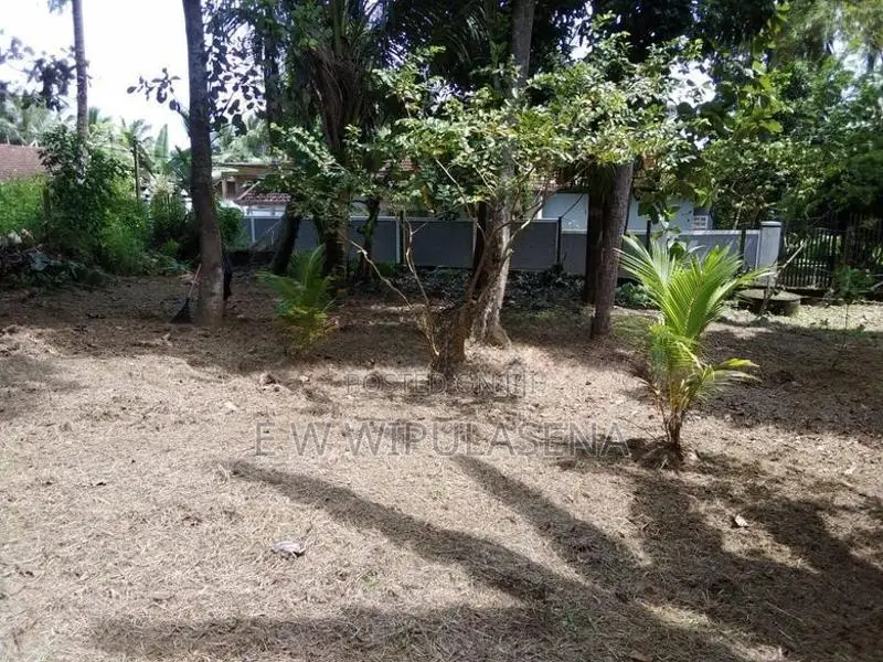 48.5 PERCH LAND FOR SALE in SEEDUWA KATUNAYAKA