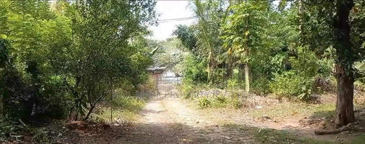 Prime Coastal Land for Sale in Thalaramba, Mirissa