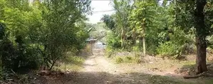 Prime Coastal Land for Sale in Thalaramba, Mirissa