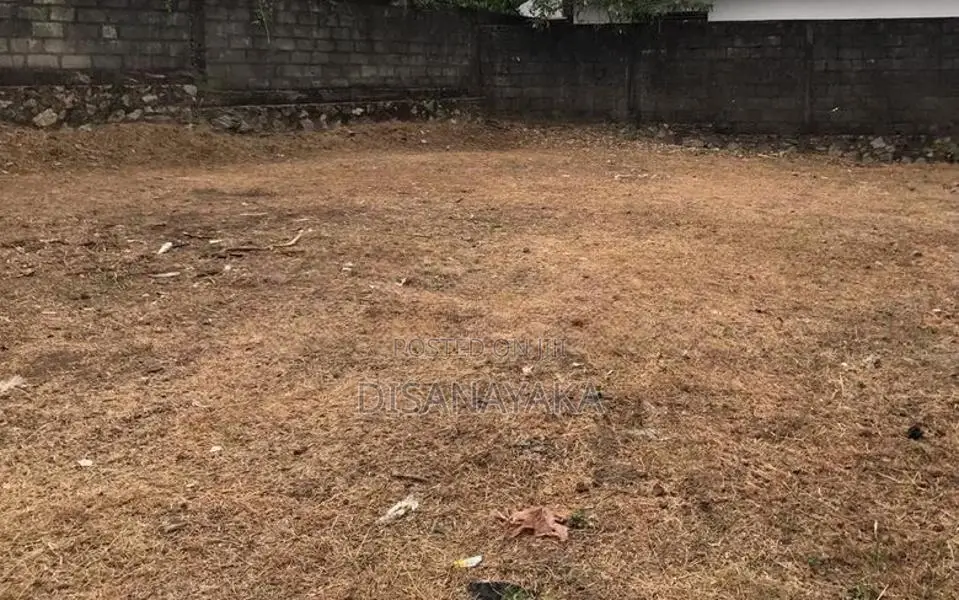 Land for Sale in Baddagana DS630