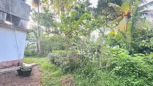 28 Perch Land with House for Sale - Neelammahara Road, Maharagama