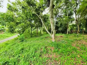 Land for Sale in Kirindiwela
