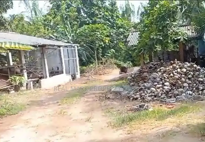 Prime Coastal Land for Sale in Thalaramba, Mirissa
