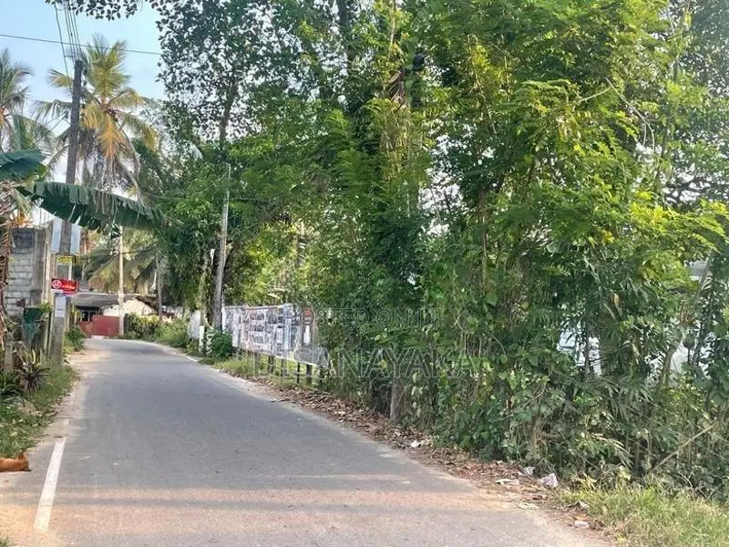 Super Land for In Nawala Ds4013