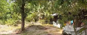 Prime Coastal Land for Sale in Thalaramba, Mirissa