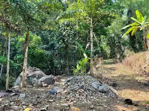 දිය පාරකට මායිම්ව අක්කර බාගයක් සමඟ අඩක් නිම කල විලා එකක්