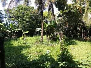 valuable Bare Land for sale kohuwala nugegoda bodaring 120P