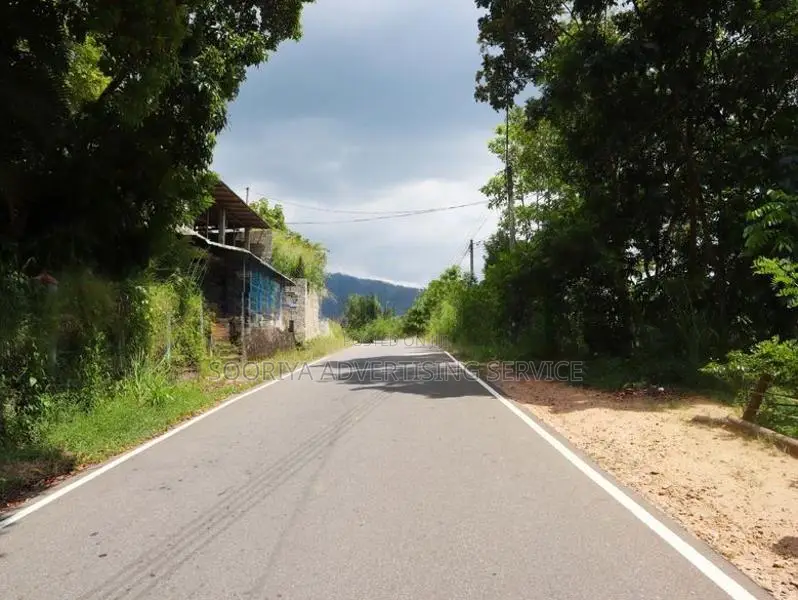 Land for Sale in Theldeniya - Werapitiya