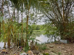 (AFA33) Water Front 20.2 P LAND SALE AT Nawala