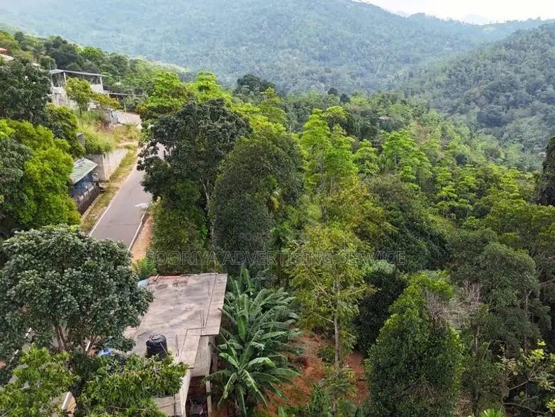 Land for Sale in Theldeniya - Werapitiya