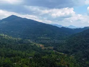 Land for Sale in Theldeniya - Werapitiya