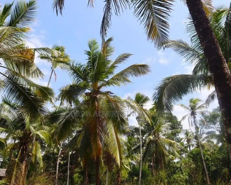 Yakkala Prime Land for Sale
