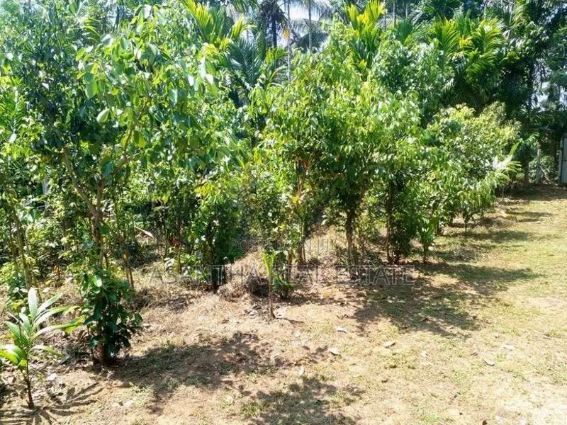 (AFA62) 28 Acres Highly Commercial Estate in Eheliyagoda for Sale!